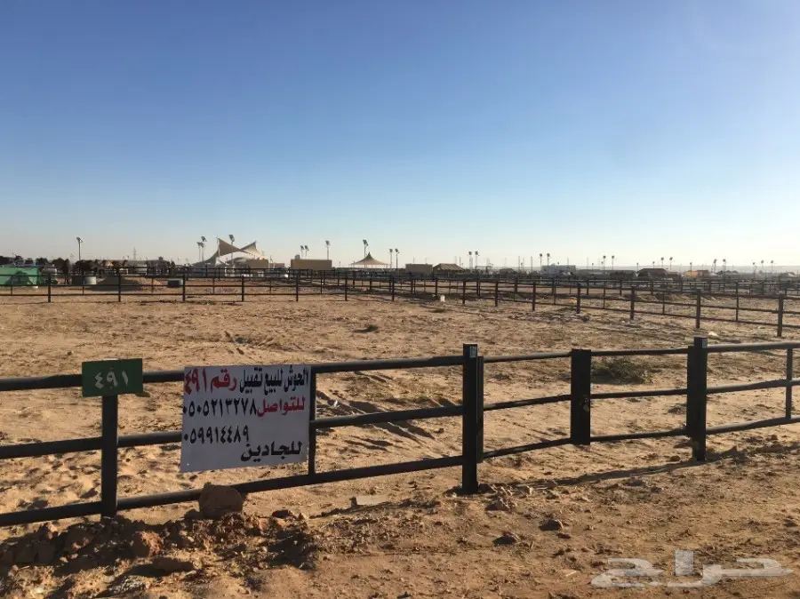 شبوك للبيع في سوق الطوقي