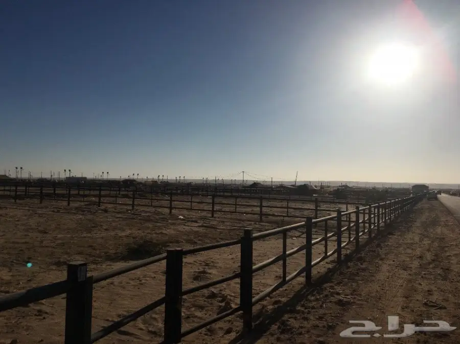 شبوك للبيع في سوق الطوقي (image 1)