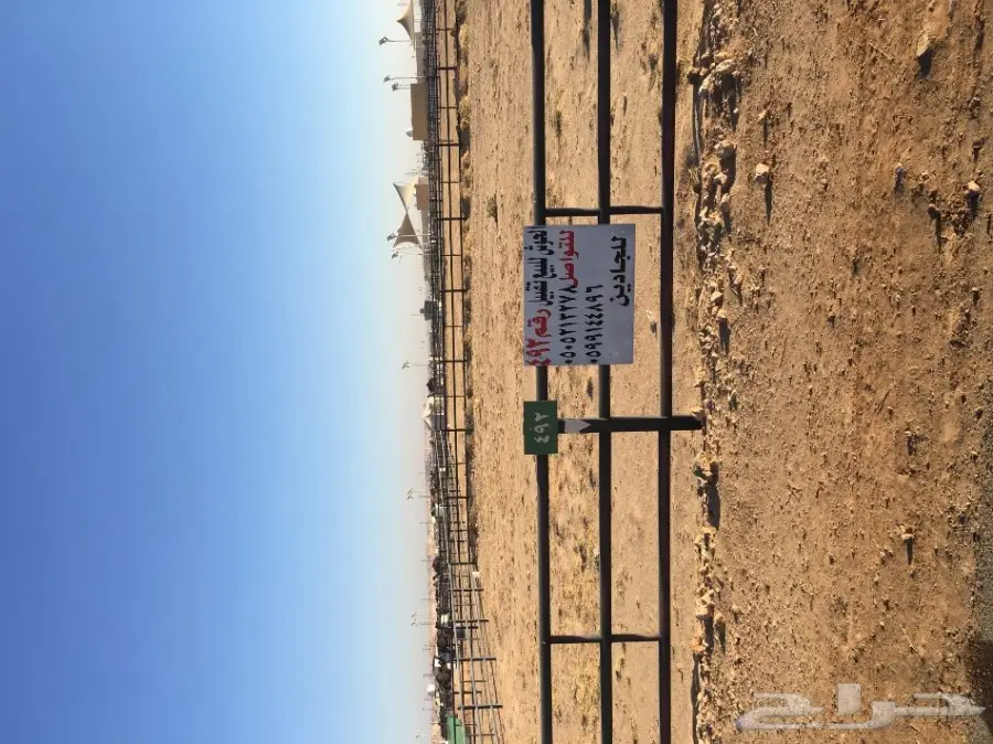 شبوك للبيع في سوق الطوقي (image 2)