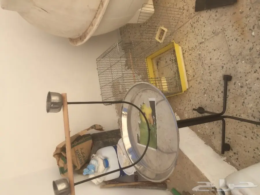 قفص بغبغاء للبيع - سليم من الكسور!