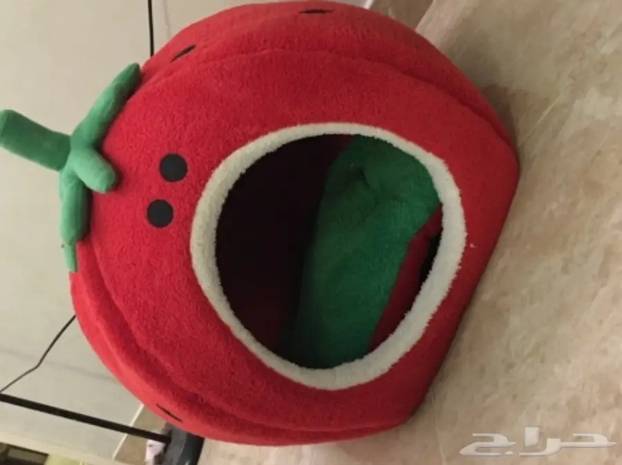 بيت القطة (image 1)