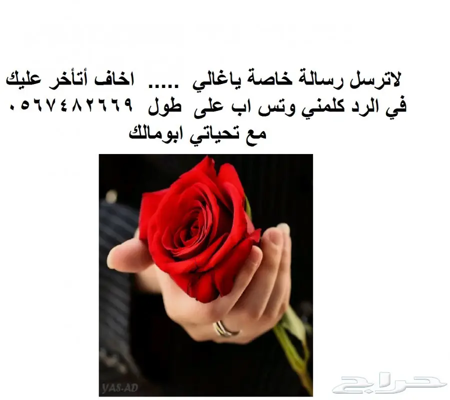 جنوط سالين 2005 (image 10)