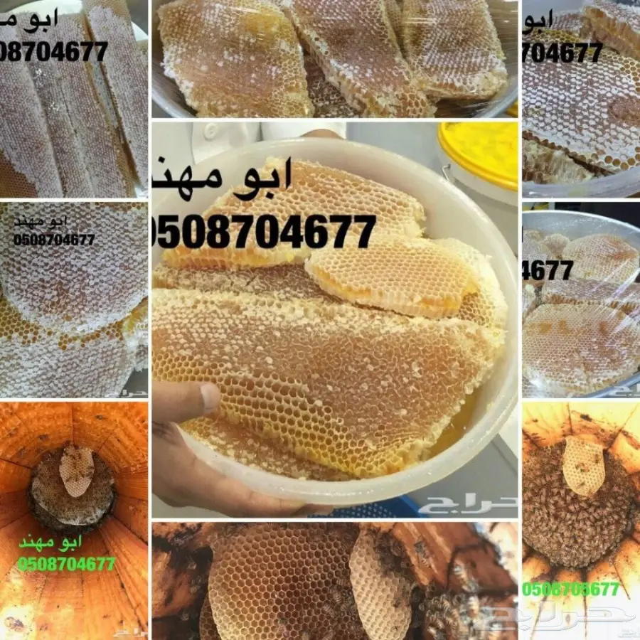 عسل سدر عسل سمر عسل مجرى عروض خاصه (image 1)