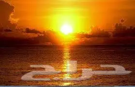 شغاله التنازل أو الاجار بقلادشيه 