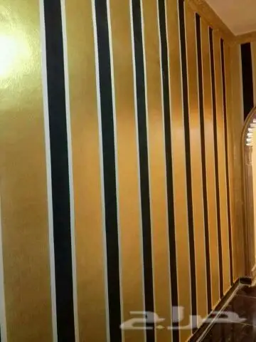 فني ديكورات اصباغ وعوازل ضد تسيب الماه  (image 5)