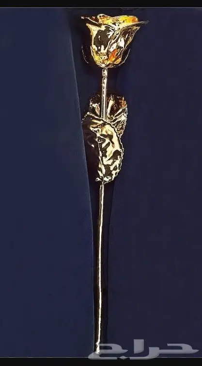 هدايا ذهبيه مطليه بماء الذهب vip  (image 53)