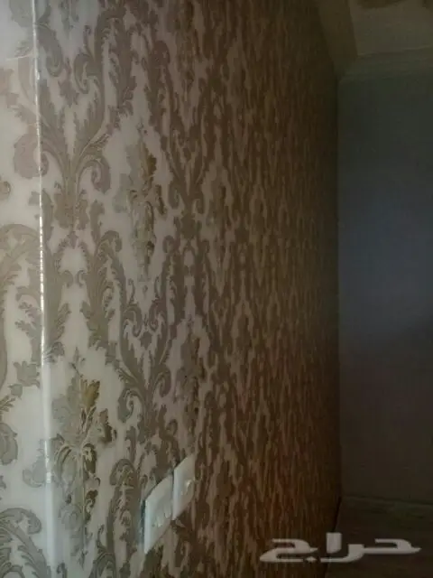 معلم تركيب ورق جدران ومناظر طبيعية وتوريد (image 5)