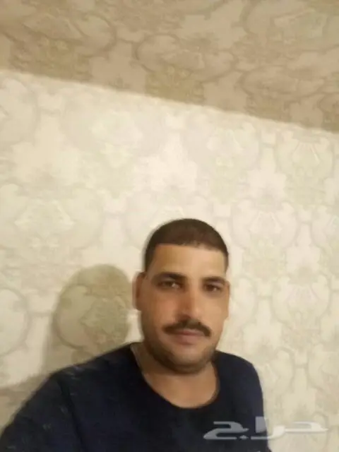 معلم تركيب ورق جدران ومناظر طبيعية وتوريد (image 3)
