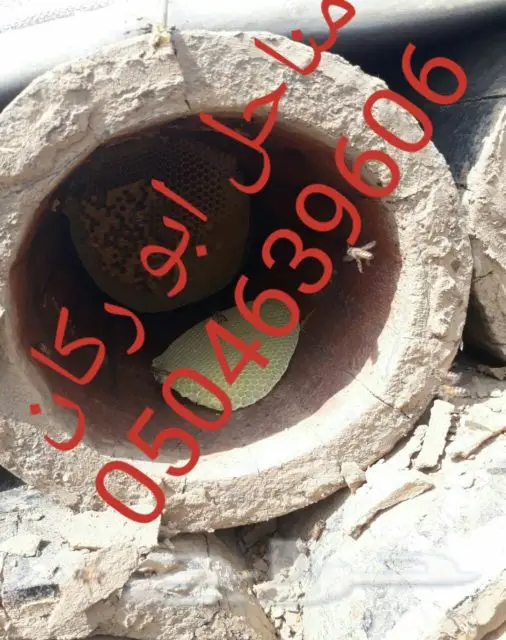 عسل سدراصلي عشرين الف اذا اتضح عليه تغذيه (image 11)