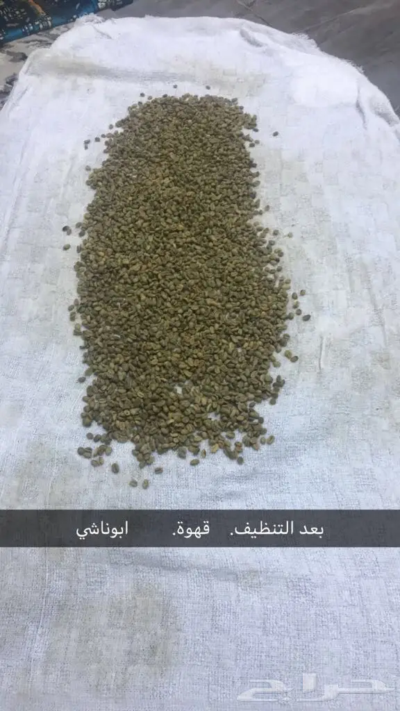 قهوة ابوناشي (image 9)