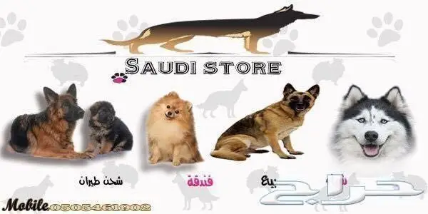 كاسكو هولندي 5 شهور هدد