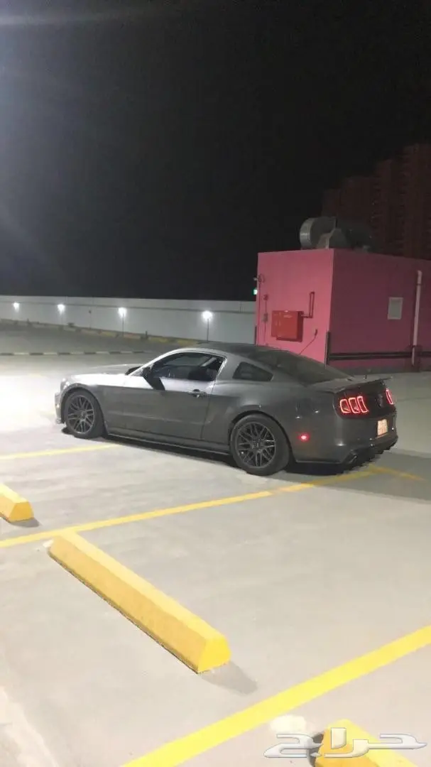 موستنق 2013 (image 1)