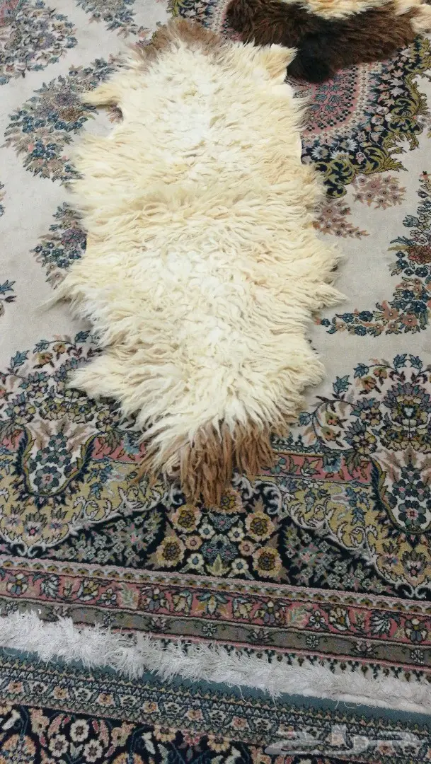 مقتنيات للبيع (image 6)