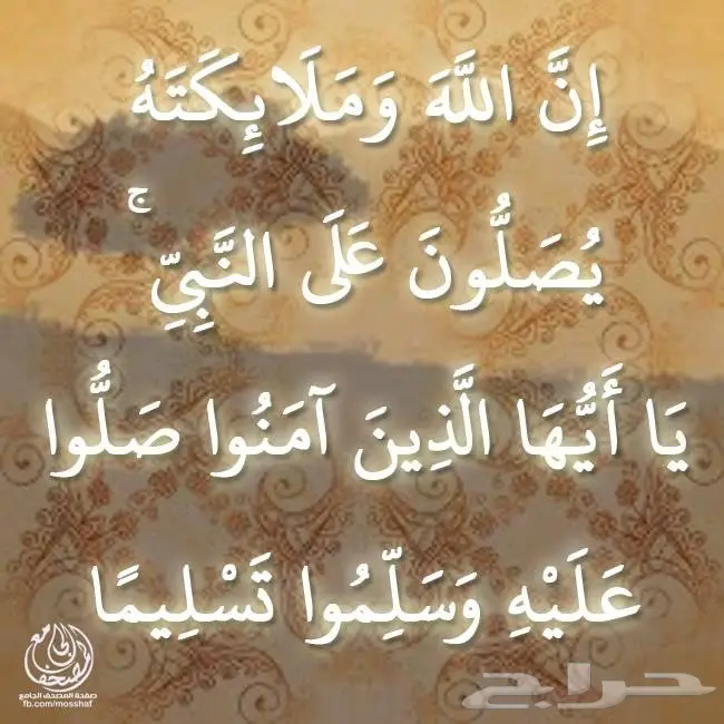 اجهزة كهربائية رائد الاستبدال  (image 27)