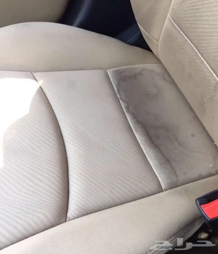 3M XO2: الأفضل في التنظيف - تجربتك تثبت ذلك! (image 4)