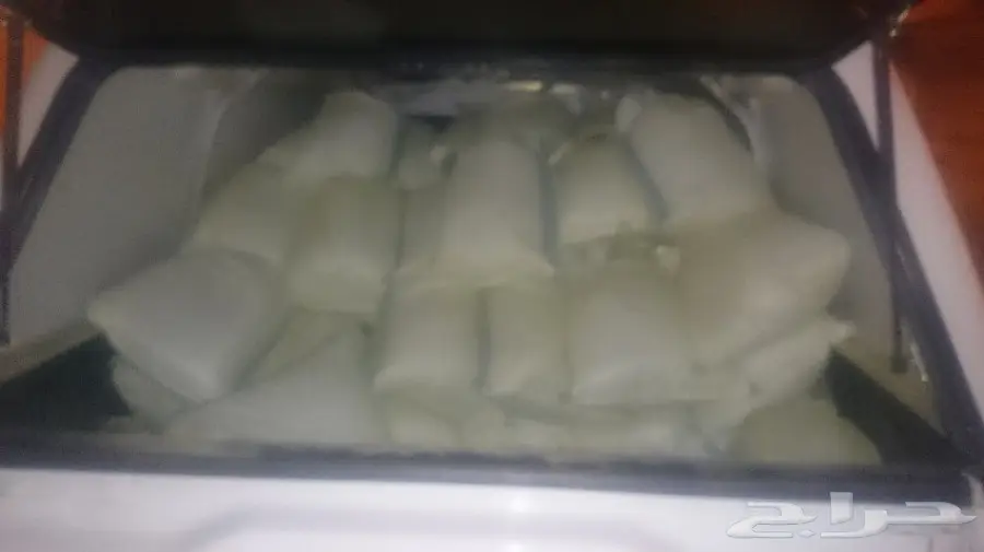 حنه المدينه من مزارع ينبع النخيل 