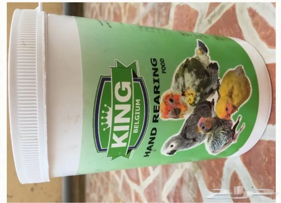 سيرلاك طيور غر