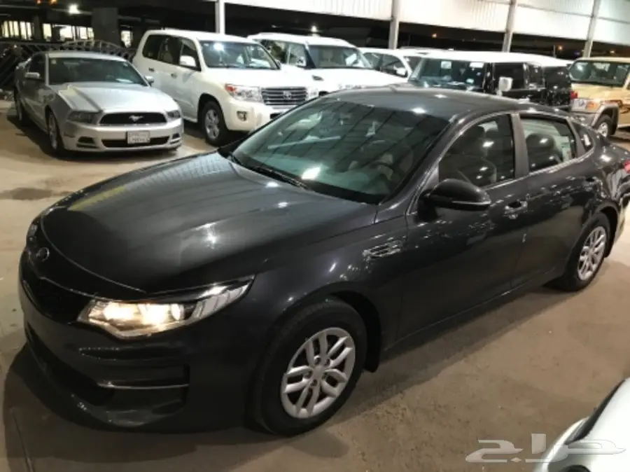 اوبتيما 17 - فرصة ذهبية! (image 2)