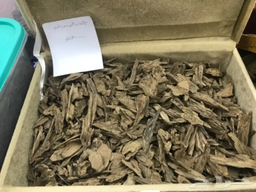 كلمنتان مالينو سوبر قديم 