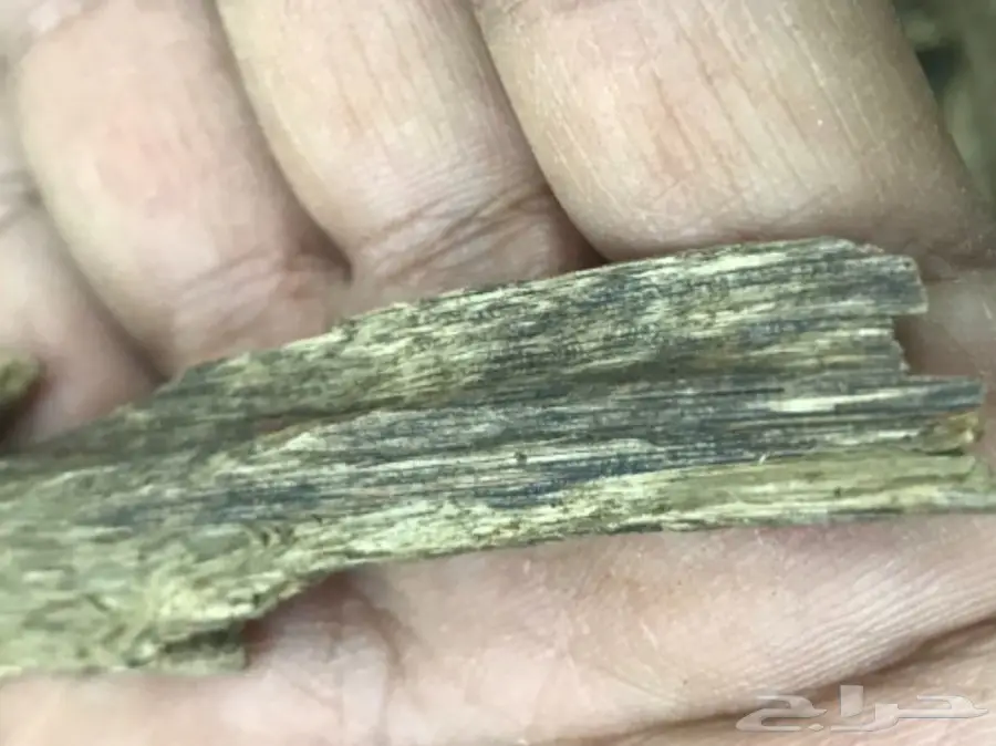 كلمنتان مالينو سوبر قديم  (image 1)