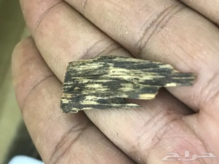 كلمنتان مالينو سوبر قديم  (image 3)