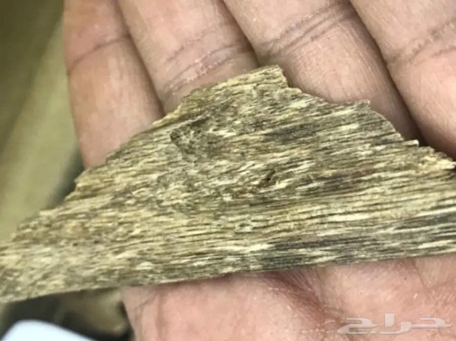 كلمنتان مالينو سوبر قديم  (image 4)