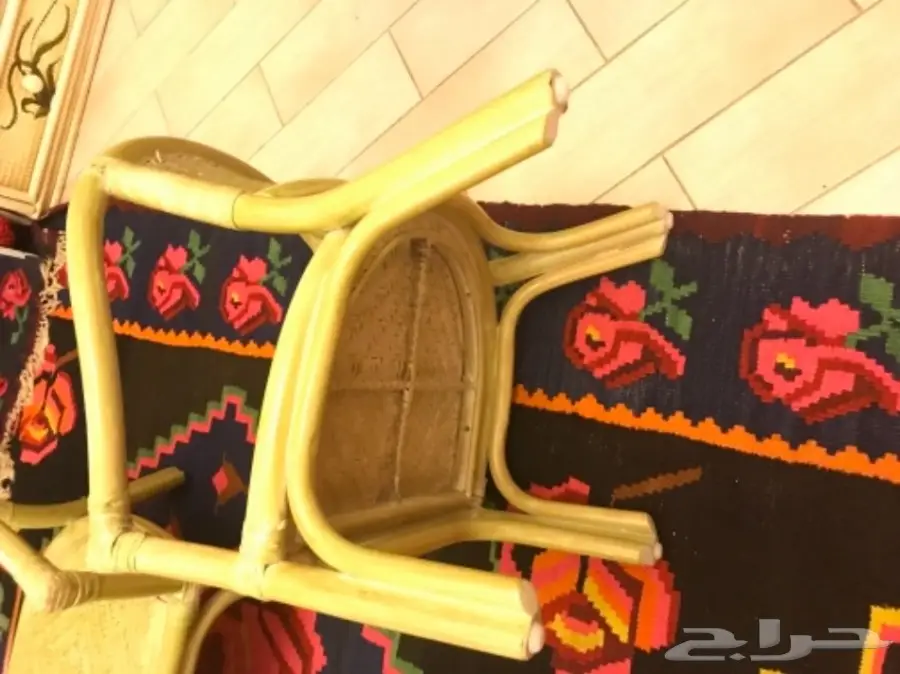 فرحه نجاح (image 8)