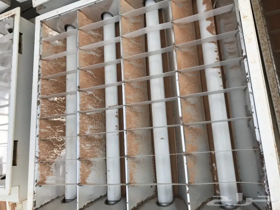 لنبات مستعملة (image 2)