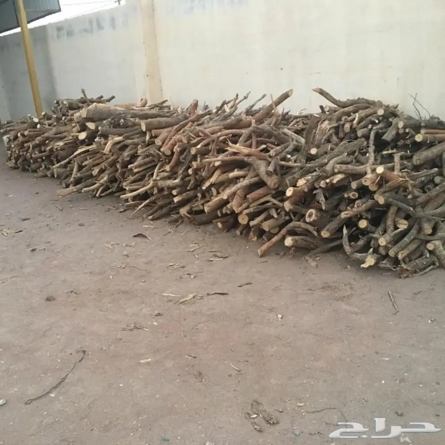 حطب طلح للبيع