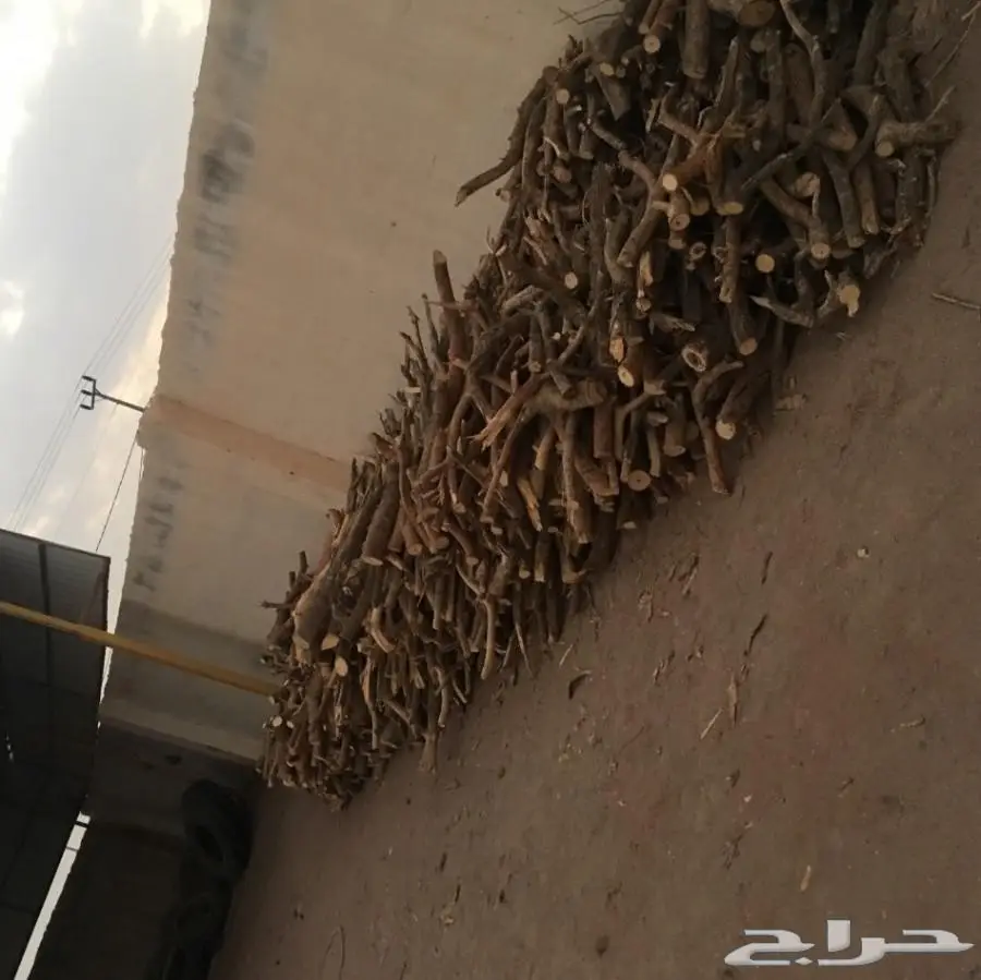 حطب طلح للبيع (image 1)