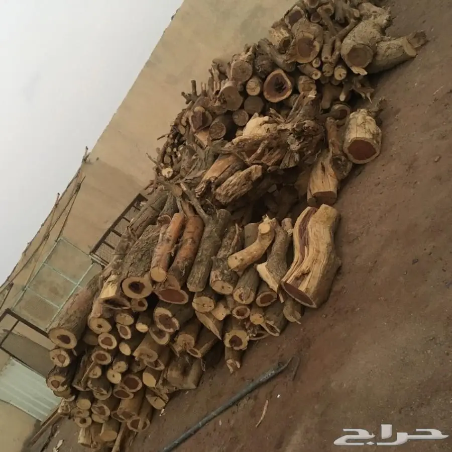 حطب طلح للبيع (image 2)