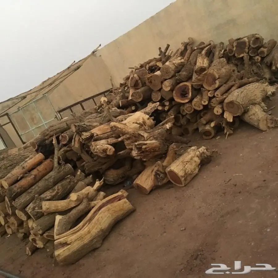 حطب طلح للبيع (image 3)