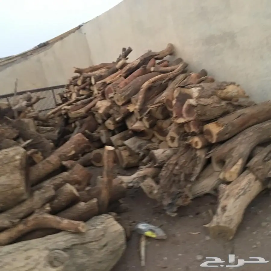حطب طلح للبيع (image 5)