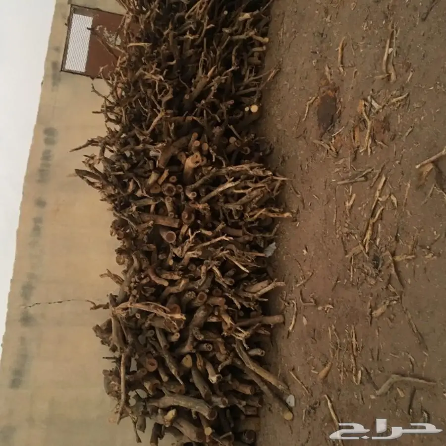 حطب طلح للبيع (image 6)