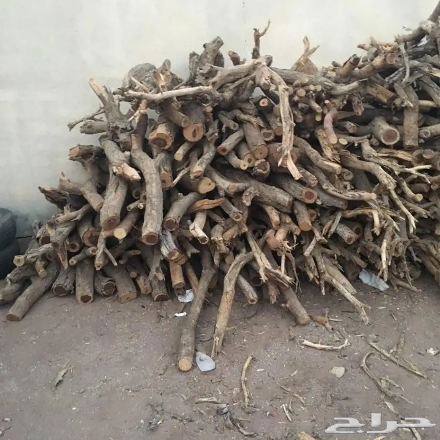 حطب طلح للبيع (image 7)