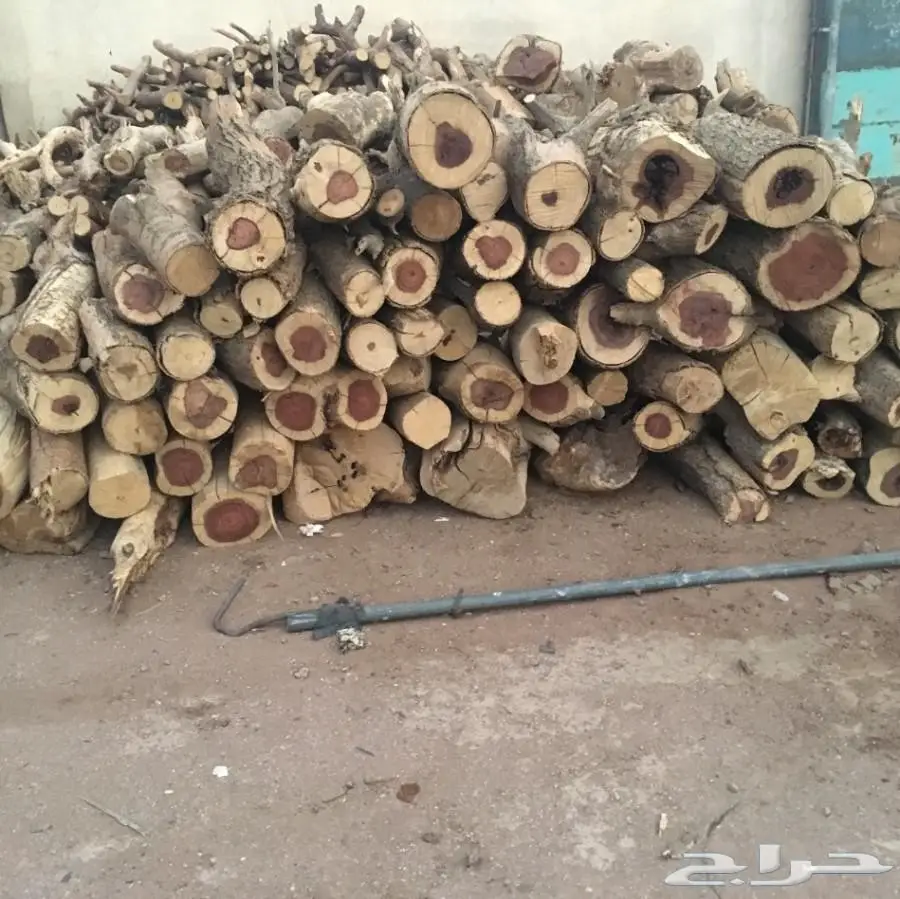 حطب طلح للبيع (image 8)