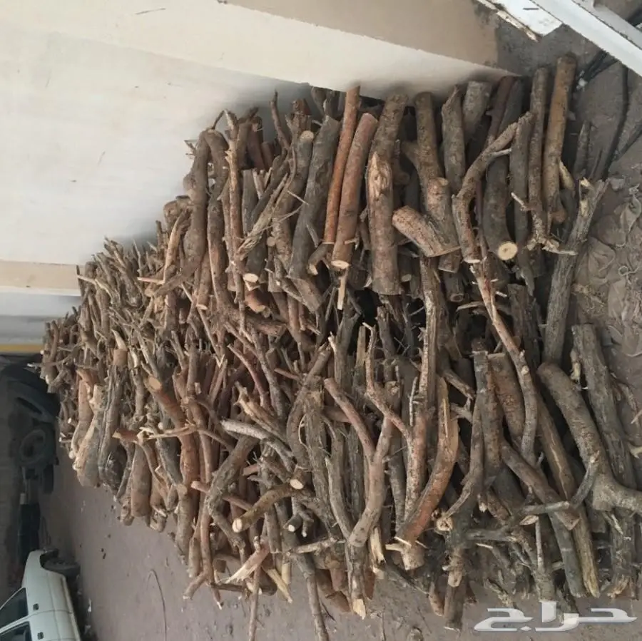 حطب طلح للبيع (image 9)