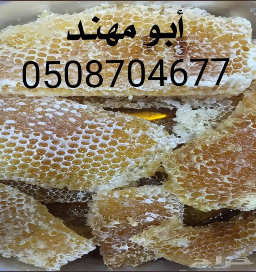 عسل سدر عسل سدر عسل سدر (image 3)