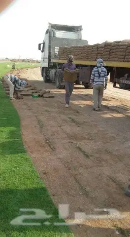 ابوشرموخ لتوريد الثيل في الرياض وفي بسعر خاص (image 6)