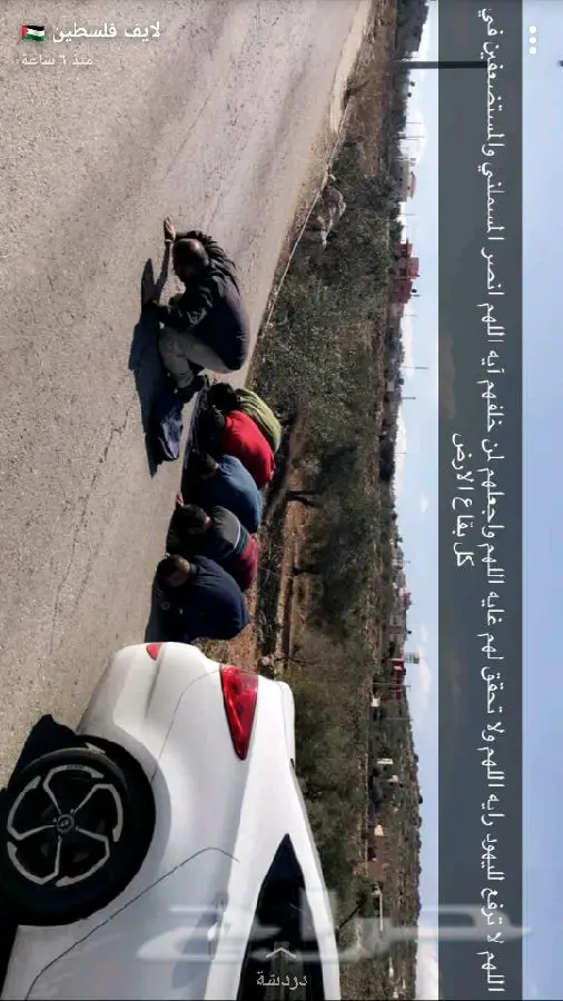 زيت زيتون اصلي ميه ب الميه من فلسطين (image 65)