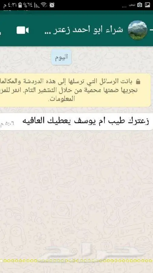 زيت زيتون اصلي ميه ب الميه من فلسطين (image 25)