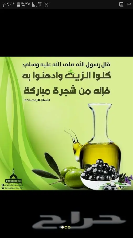 زيت زيتون اصلي ميه ب الميه من فلسطين (image 63)
