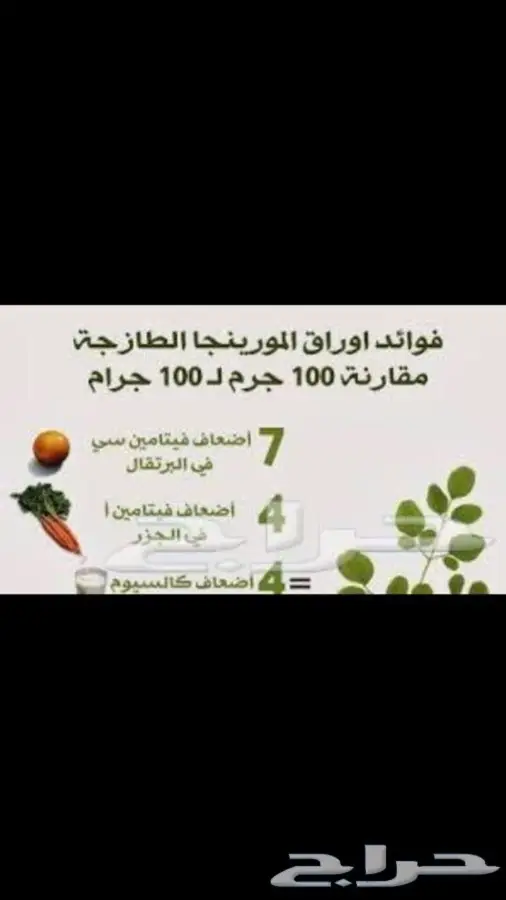 منتجات المورينجا من مزارعنا (image 2)