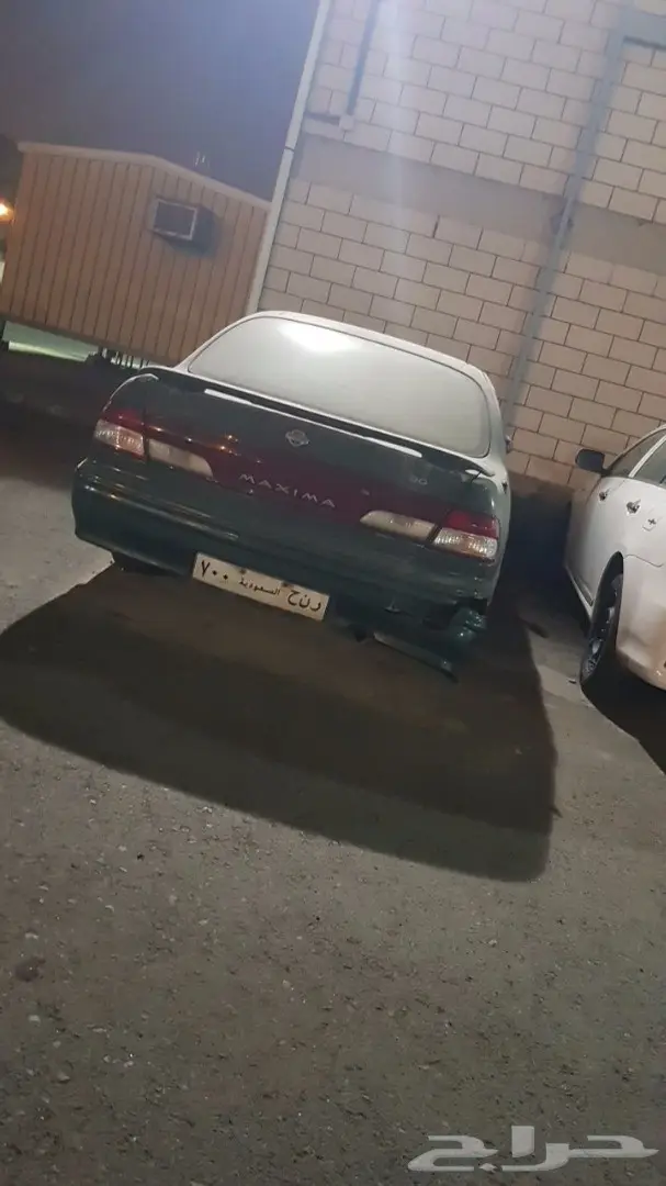 مكسيما 99
