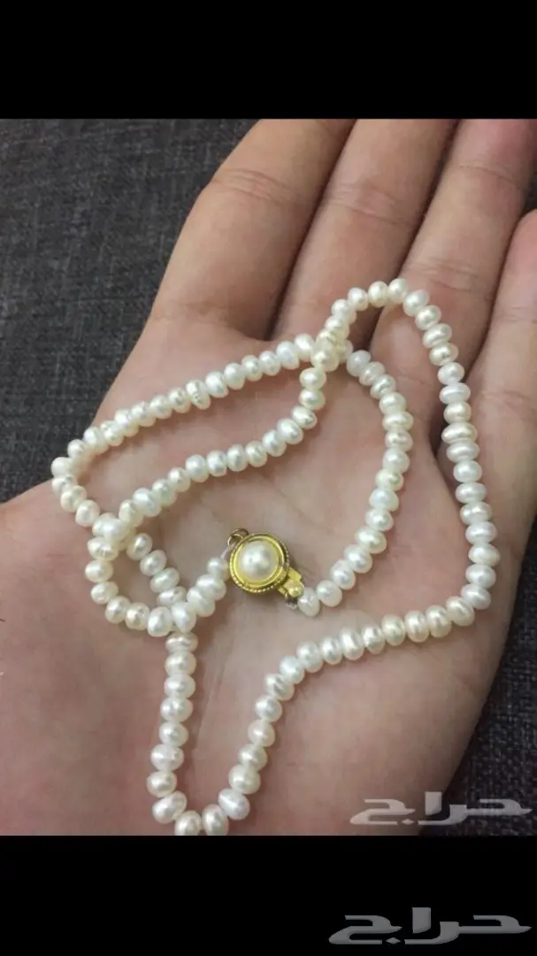 عقد لولو زراعي مياه عذبه ب 50 ريال فقط (image 1)