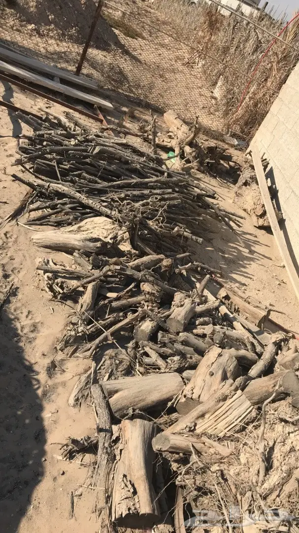 حطب للبيع (image 1)