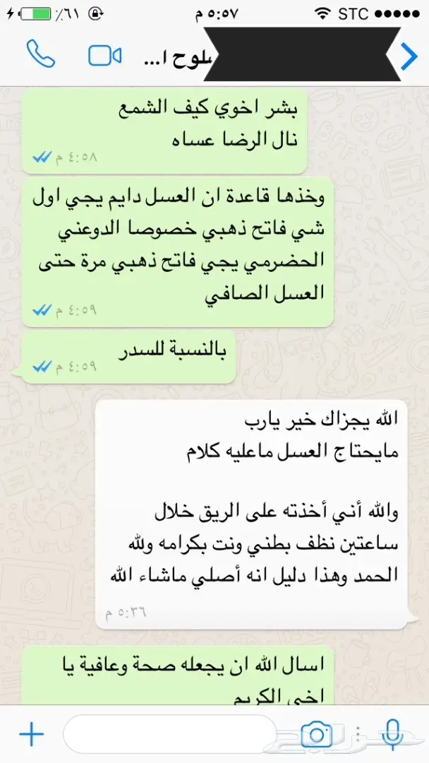 عسل طبيعي - غذاء ملكات: سر الصحة والعافية! (image 29)