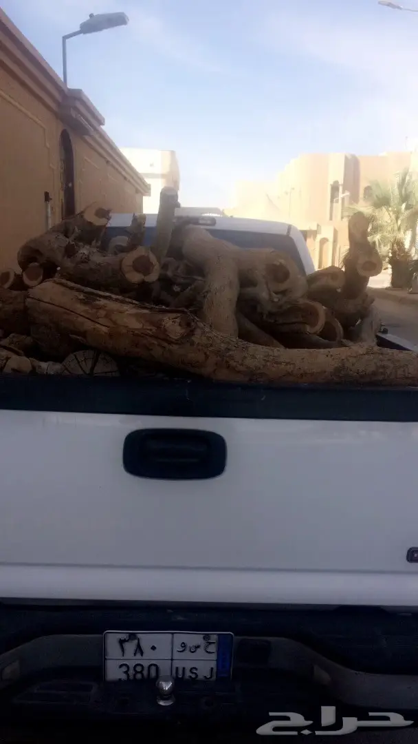 حملة سمر جمس شاص طويل ح ط ب  (image 1)