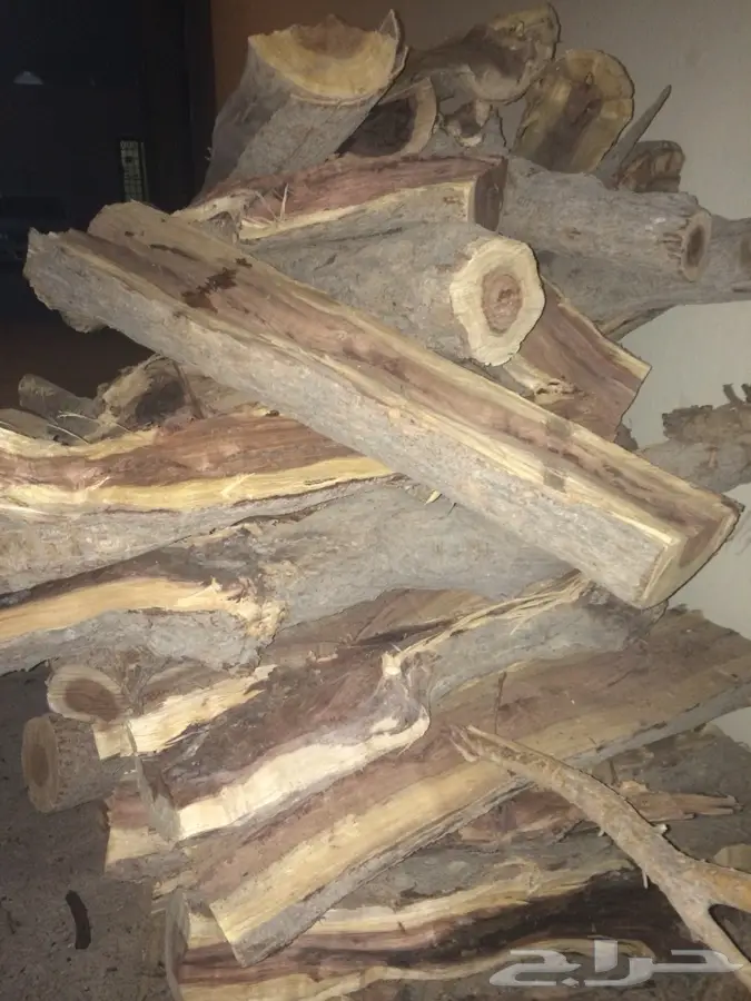 حطب - يوجد حطب شلايخ (image 1)
