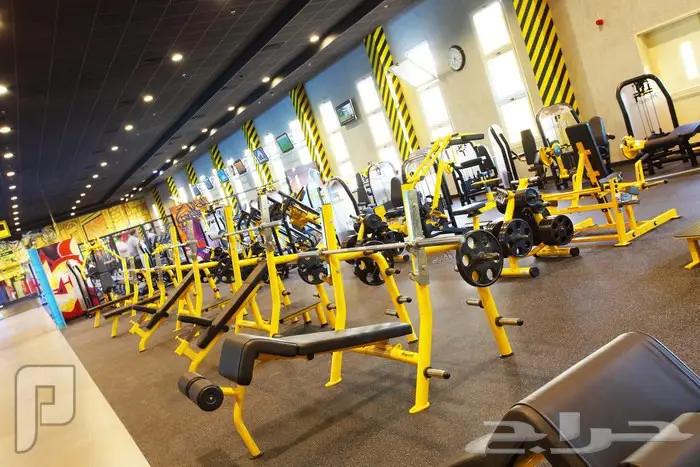 اشتراك وقت اللياقة fitnes time الموقع الاحساء